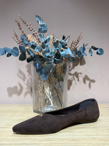 Zapato manoletina